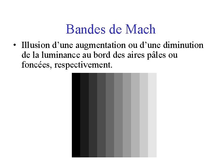 Bandes de Mach • Illusion d’une augmentation ou d’une diminution de la luminance au