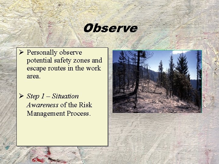 Observe Ø Personally observe potential safety zones and escape routes in the work area.