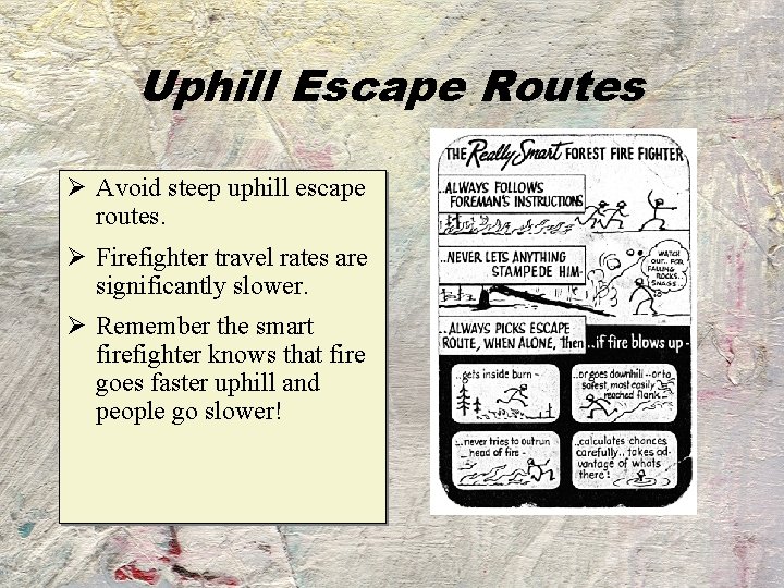 Uphill Escape Routes Ø Avoid steep uphill escape routes. Ø Firefighter travel rates are