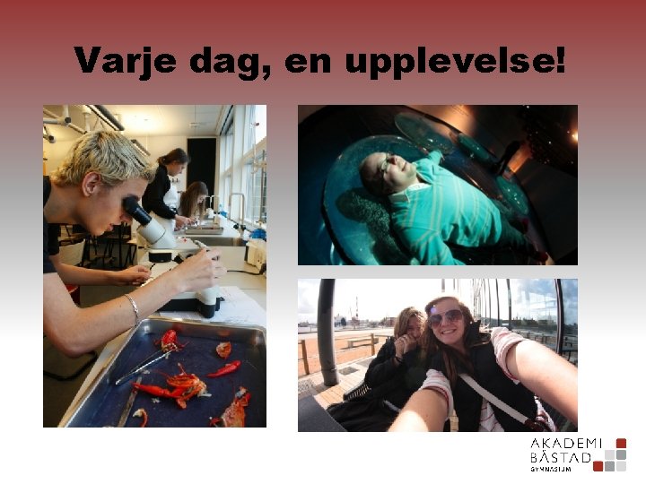 Varje dag, en upplevelse! 