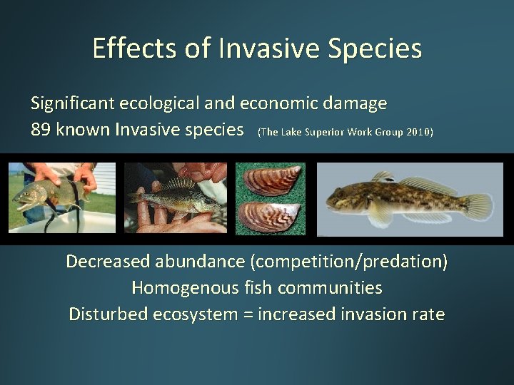 Effects of Invasive Species Significant ecological and economic damage 89 known Invasive species (The Effects of Invasive Species Significant ecological and economic damage 89 known Invasive species (The
