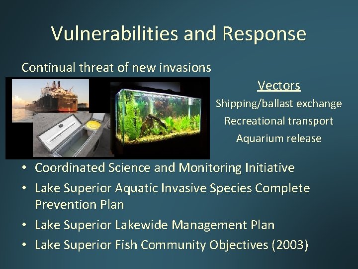 Vulnerabilities and Response Continual threat of new invasions Vectors Shipping/ballast exchange Recreational transport Aquarium Vulnerabilities and Response Continual threat of new invasions Vectors Shipping/ballast exchange Recreational transport Aquarium