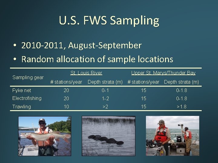 U. S. FWS Sampling • 2010 -2011, August-September • Random allocation of sample locations U. S. FWS Sampling • 2010 -2011, August-September • Random allocation of sample locations