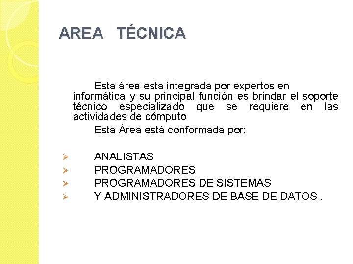 AREA TÉCNICA Esta área esta integrada por expertos en informática y su principal función