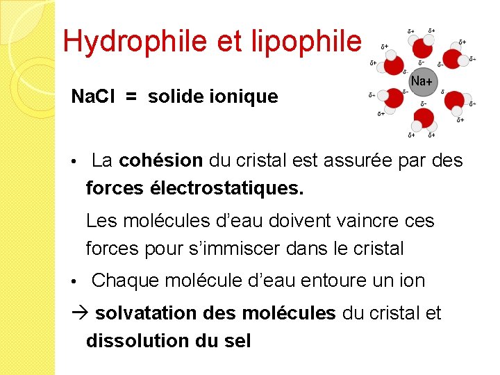 Hydrophile et lipophile Na. Cl = solide ionique • La cohésion du cristal est