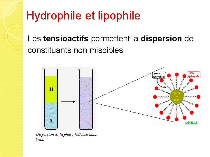Hydrophile et lipophile Les tensioactifs permettent la dispersion de constituants non miscibles Dispersion de