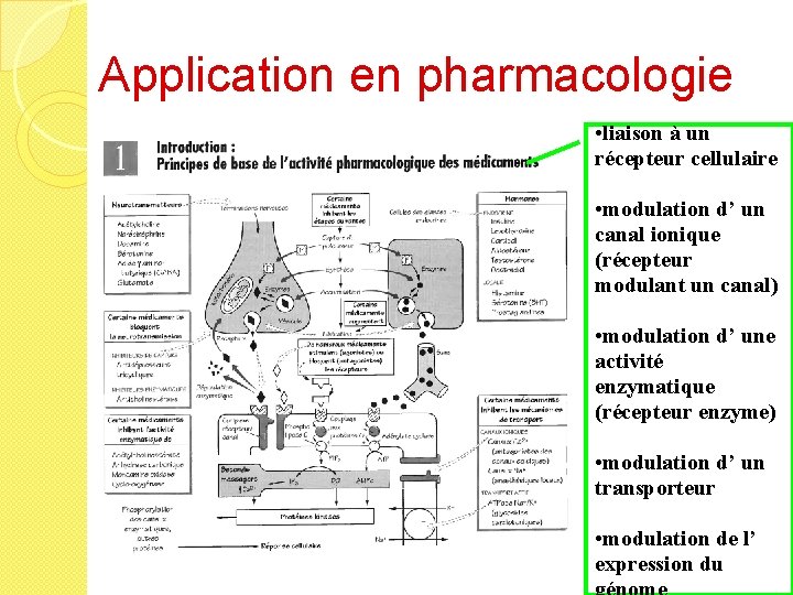 Application en pharmacologie • liaison à un récepteur cellulaire • modulation d’ un canal