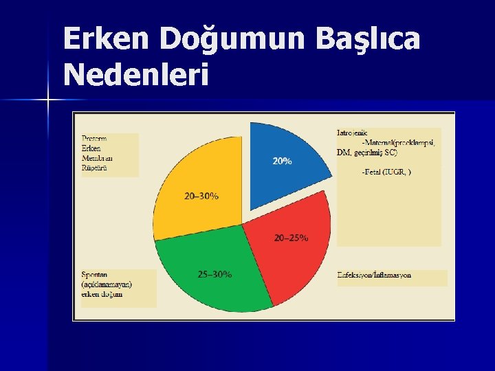 Erken Doğumun Başlıca Nedenleri Erken Doğumun Başlıca Nedenleri