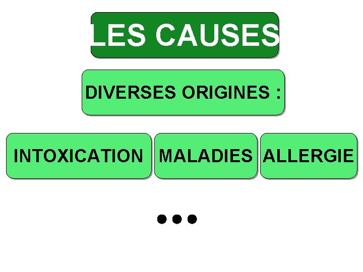 LES CAUSES DIVERSES ORIGINES : INTOXICATION MALADIES ALLERGIE 