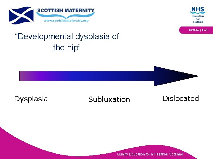 Multidisciplinary “Developmental dysplasia of the hip” Dysplasia Subluxation Dislocated Quality Education for a Healthier