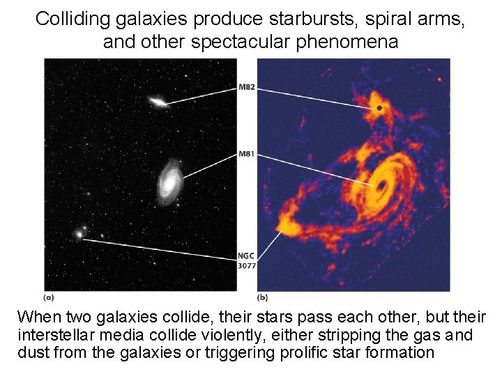 Colliding galaxies produce starbursts, spiral arms, and other spectacular phenomena When two galaxies collide,