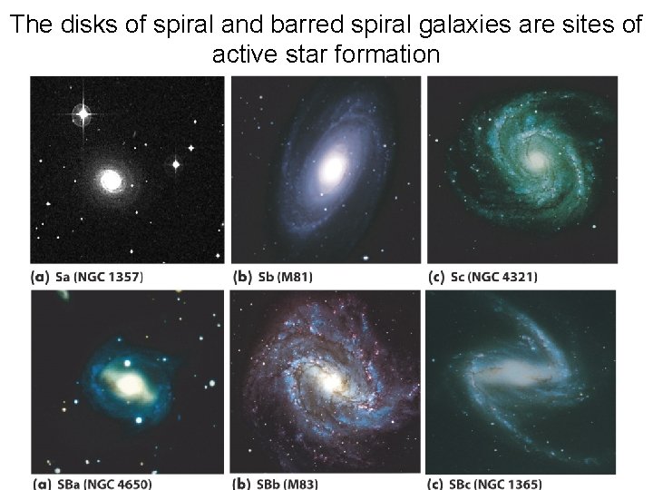 The disks of spiral and barred spiral galaxies are sites of active star formation