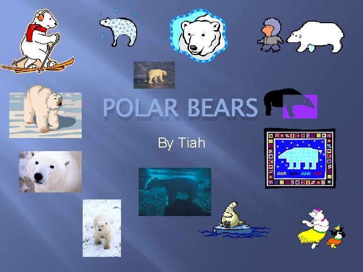 POLAR BEARS By Tiah 