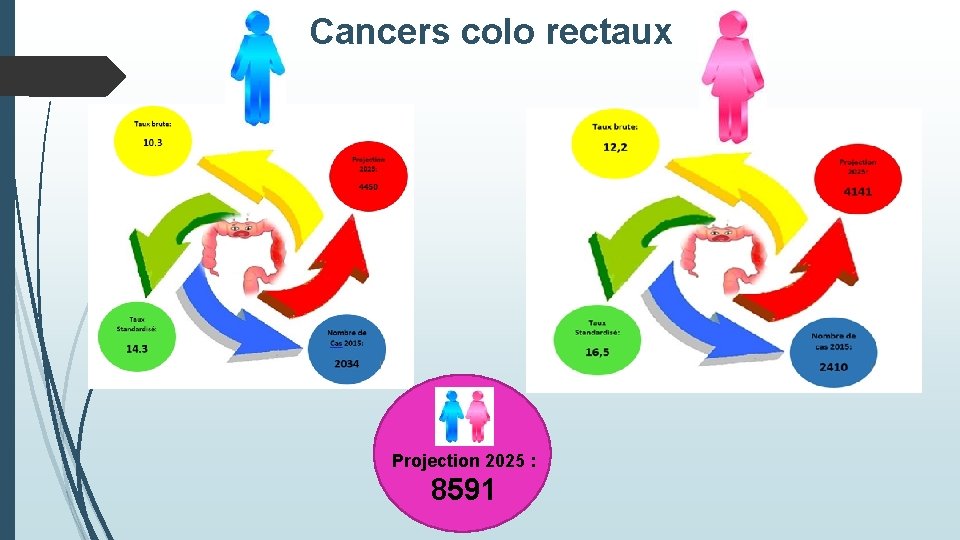 Cancers colo rectaux Projection 2025 : 8591 