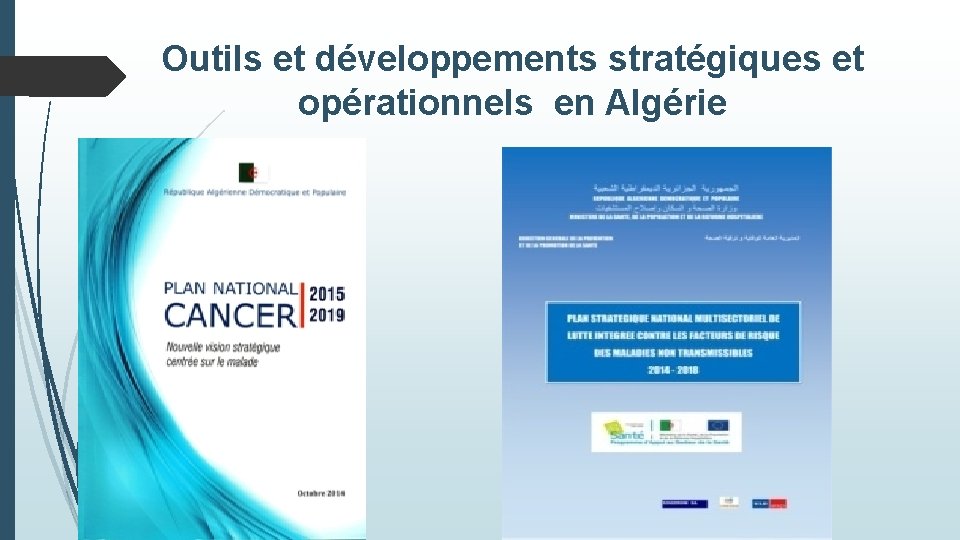 Outils et développements stratégiques et opérationnels en Algérie 