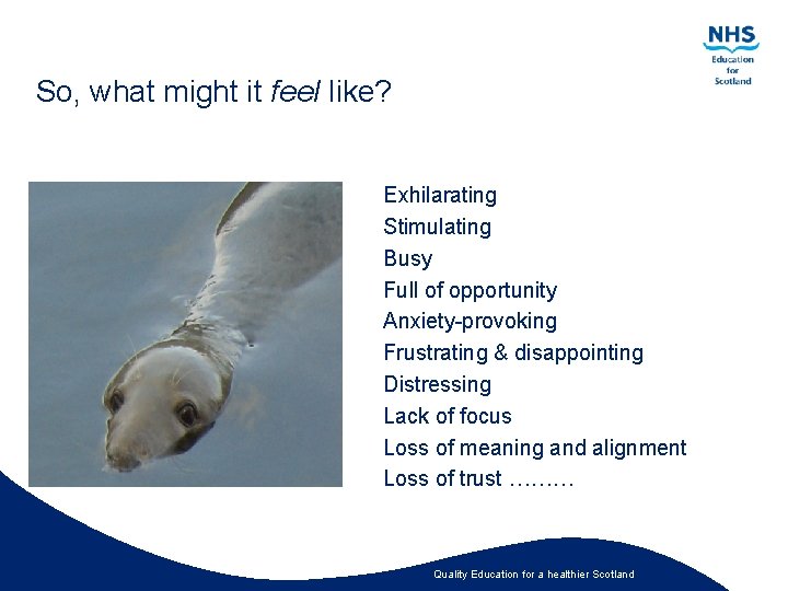 So, what might it feel like? Exhilarating Stimulating Busy Full of opportunity Anxiety-provoking Frustrating