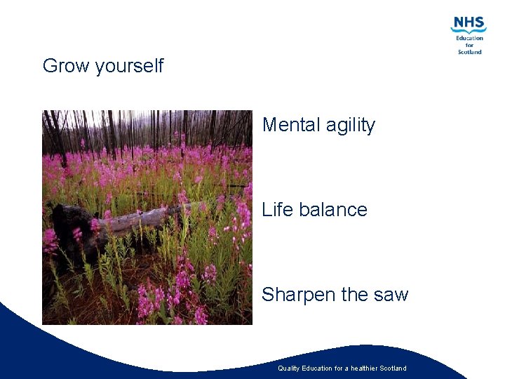 Grow yourself Mental agility Life balance Sharpen the saw Quality Education for a healthier