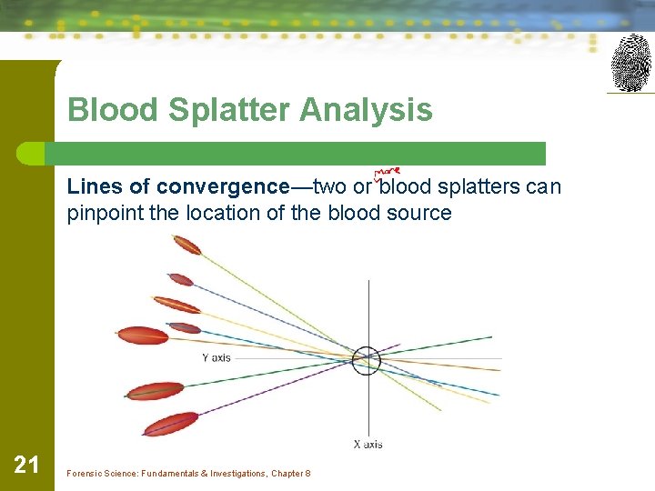Blood Splatter Analysis Lines of convergence—two or blood splatters can pinpoint the location of