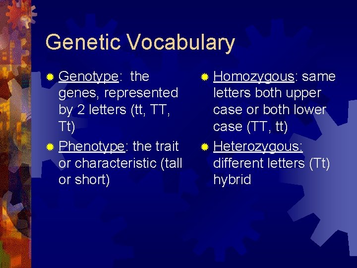 Genetic Vocabulary ® Genotype: the genes, represented by 2 letters (tt, TT, Tt) ®
