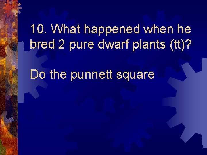 10. What happened when he bred 2 pure dwarf plants (tt)? Do the punnett