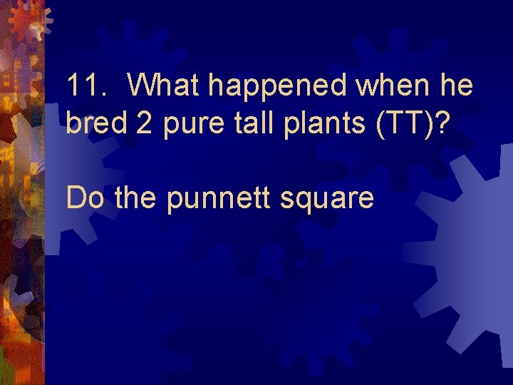 11. What happened when he bred 2 pure tall plants (TT)? Do the punnett