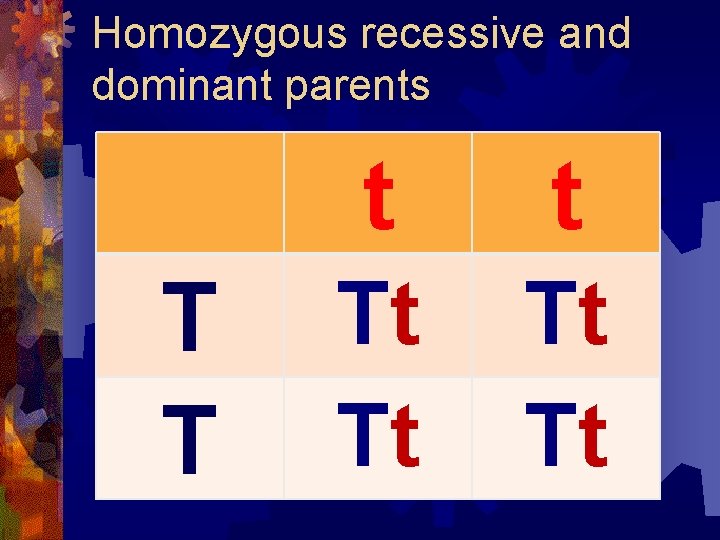 Homozygous recessive and dominant parents T T t t Tt Tt 