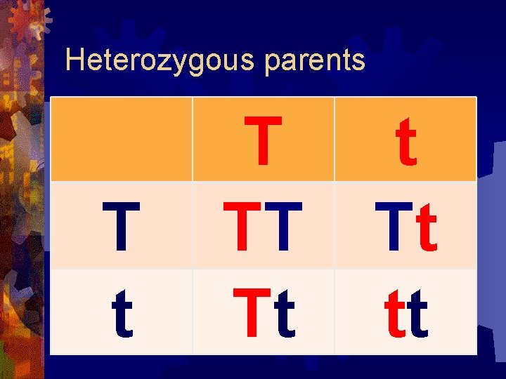 Heterozygous parents T t T TT Tt tt 