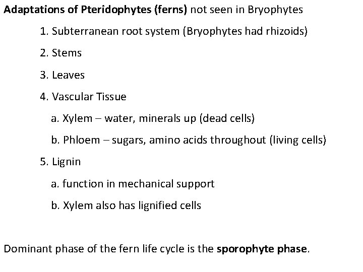 Adaptations of Pteridophytes (ferns) not seen in Bryophytes 1. Subterranean root system (Bryophytes had