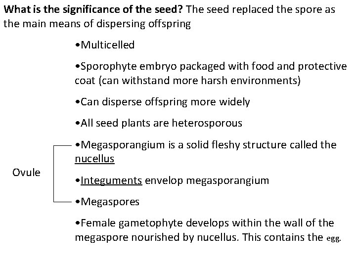 What is the significance of the seed? The seed replaced the spore as the