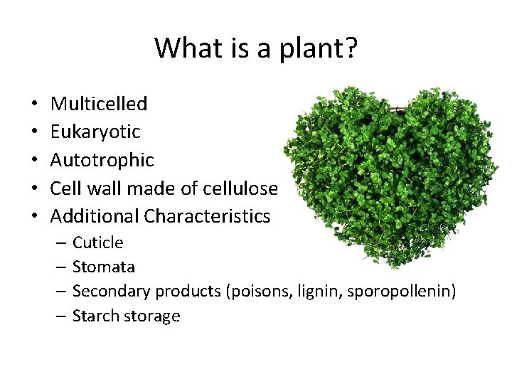 What is a plant? • • • Multicelled Eukaryotic Autotrophic Cell wall made of