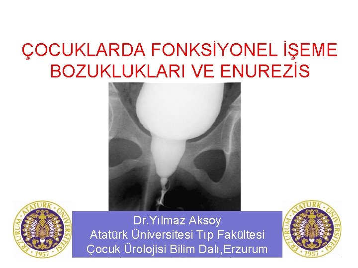 ÇOCUKLARDA FONKSİYONEL İŞEME BOZUKLUKLARI VE ENUREZİS Dr. Yılmaz Aksoy Atatürk Üniversitesi Tıp Fakültesi Çocuk