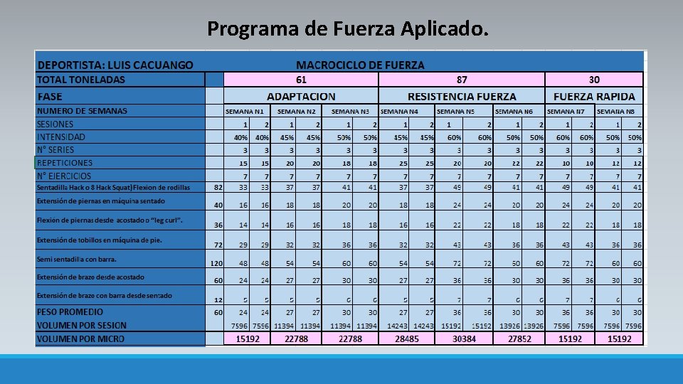 Programa de Fuerza Aplicado. 