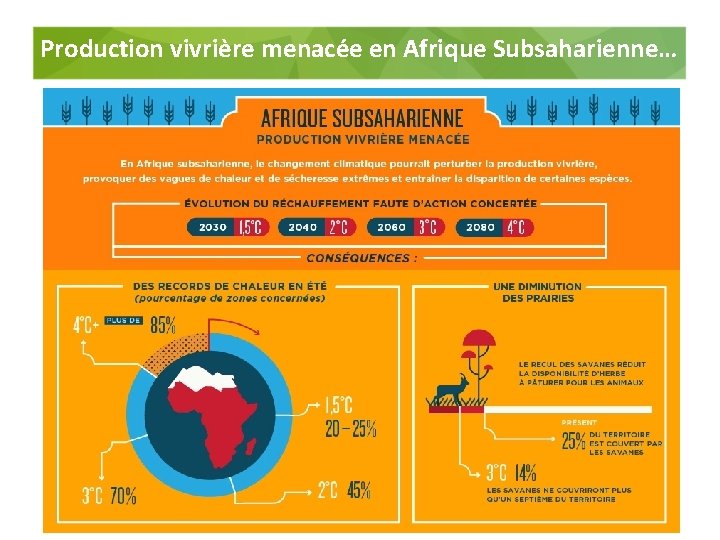 Production vivrière menacée en Afrique Subsaharienne… 