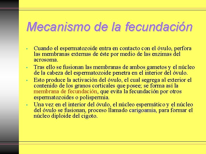 Mecanismo de la fecundación • • Cuando el espermatozoide entra en contacto con el Mecanismo de la fecundación • • Cuando el espermatozoide entra en contacto con el