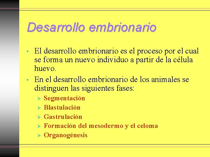 Desarrollo embrionario • • El desarrollo embrionario es el proceso por el cual se Desarrollo embrionario • • El desarrollo embrionario es el proceso por el cual se