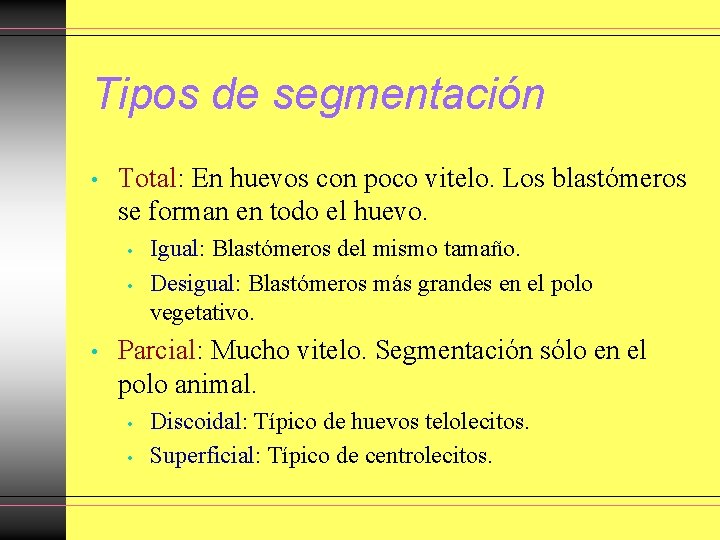 Tipos de segmentación • Total: En huevos con poco vitelo. Los blastómeros se forman Tipos de segmentación • Total: En huevos con poco vitelo. Los blastómeros se forman