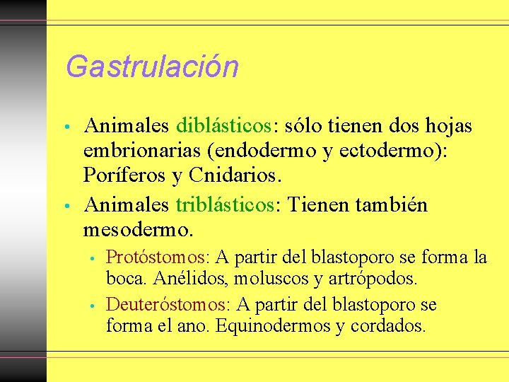 Gastrulación • • Animales diblásticos: sólo tienen dos hojas embrionarias (endodermo y ectodermo): Poríferos Gastrulación • • Animales diblásticos: sólo tienen dos hojas embrionarias (endodermo y ectodermo): Poríferos