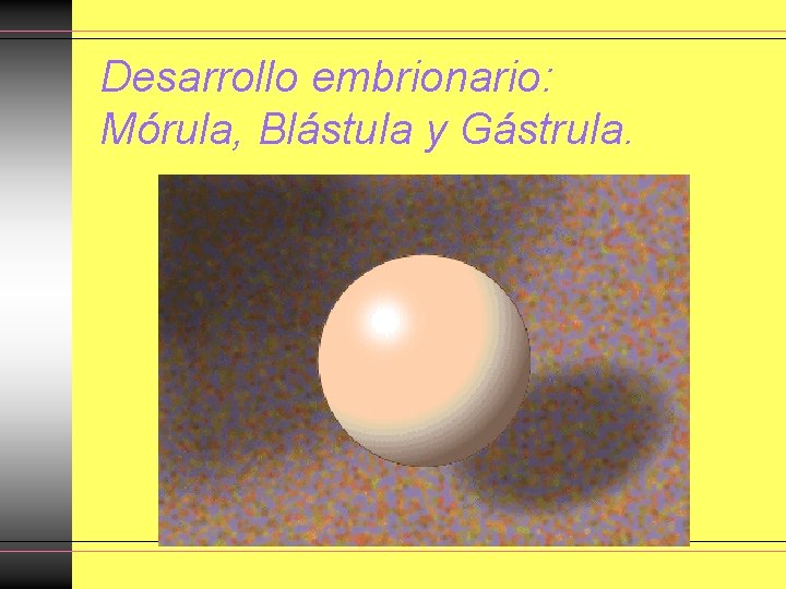 Desarrollo embrionario: Mórula, Blástula y Gástrula. Desarrollo embrionario: Mórula, Blástula y Gástrula.