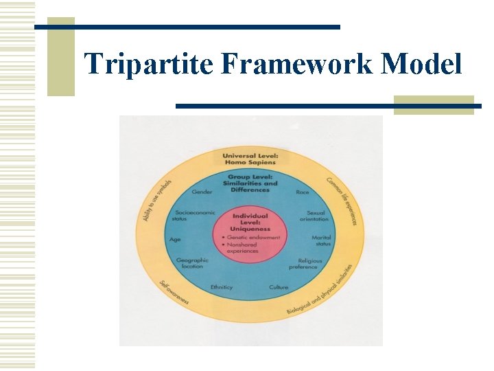 Tripartite Framework Model 