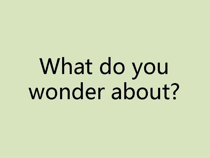 What do you wonder about? 