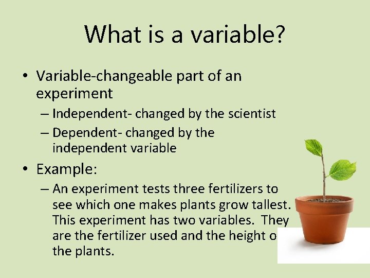 What is a variable? • Variable-changeable part of an experiment – Independent- changed by