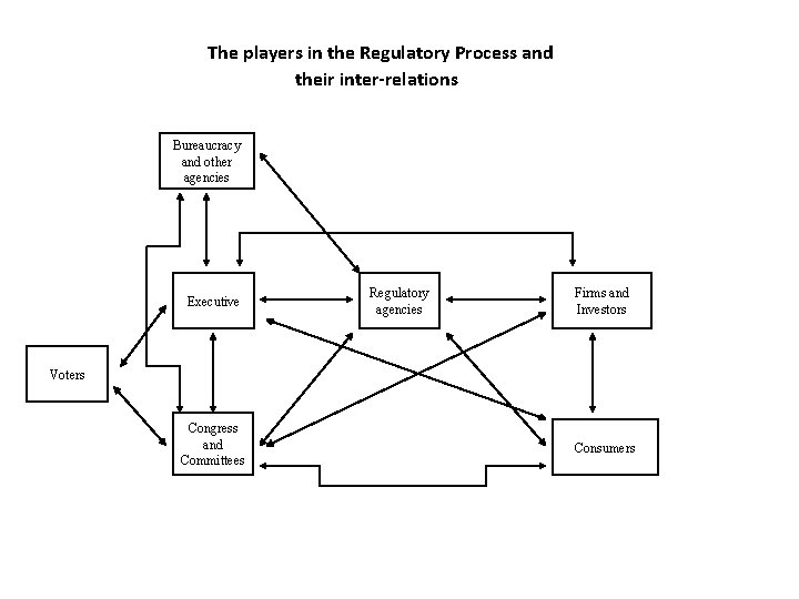 The players in the Regulatory Process and their inter-relations Bureaucracy and other agencies Executive