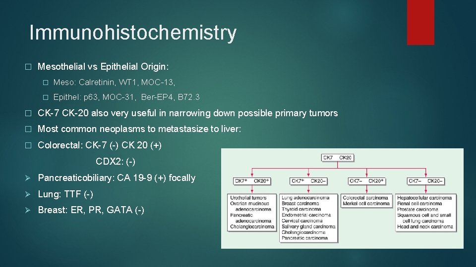 Immunohistochemistry � Mesothelial vs Epithelial Origin: � Meso: Calretinin, WT 1, MOC-13, � Epithel: Immunohistochemistry � Mesothelial vs Epithelial Origin: � Meso: Calretinin, WT 1, MOC-13, � Epithel: