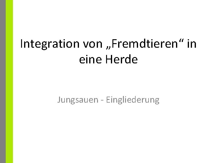 Integration von „Fremdtieren“ in eine Herde Jungsauen - Eingliederung 