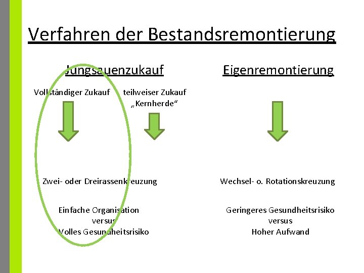 Verfahren der Bestandsremontierung Jungsauenzukauf Vollständiger Zukauf Eigenremontierung teilweiser Zukauf „Kernherde“ Zwei- oder Dreirassenkreuzung Einfache