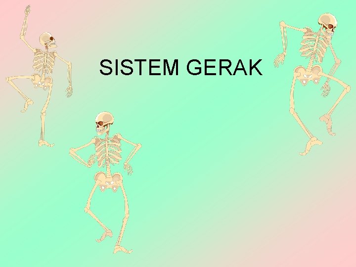 SISTEM GERAK 