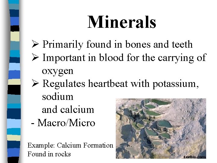 Minerals Ø Primarily found in bones and teeth Ø Important in blood for the