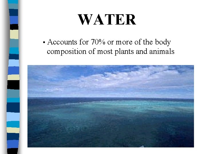 WATER • Accounts for 70% or more of the body composition of most plants