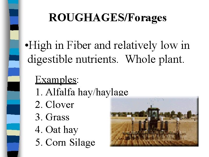 ROUGHAGES/Forages • High in Fiber and relatively low in digestible nutrients. Whole plant. Examples: