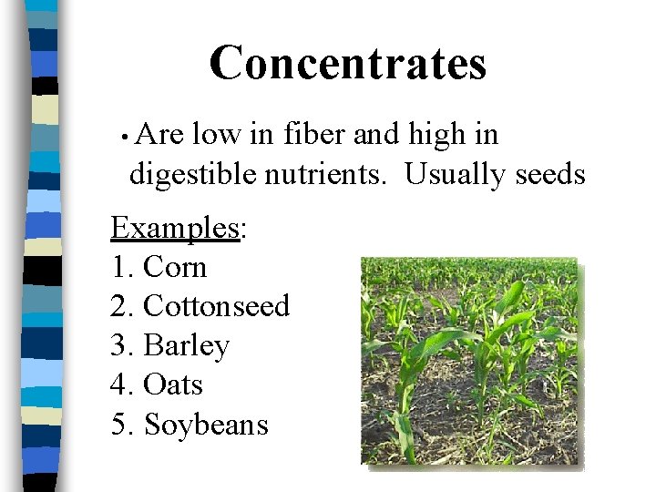 Concentrates • Are low in fiber and high in digestible nutrients. Usually seeds Examples: